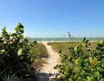 Coastal area