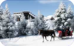French snow scene