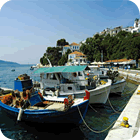 Boats in harbour
