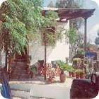 Taverna