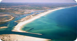 Local Area View