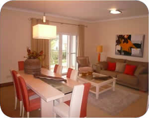 Living Room and Kitchen